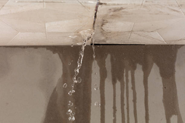Professional Structural Drying technician working in Georgetown, MA